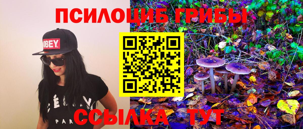 Дивногорск  Галлюциногенные грибы Magic Shrooms  Вход с VPN 