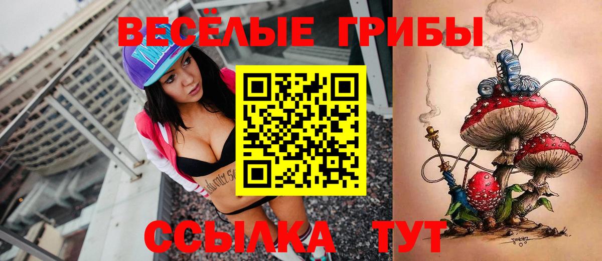 Псилоцибиновые грибы GOLDEN TEACHER Дивногорск